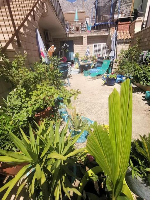 Makarska Blue Oasis Apartman 2-6 Extérieur photo