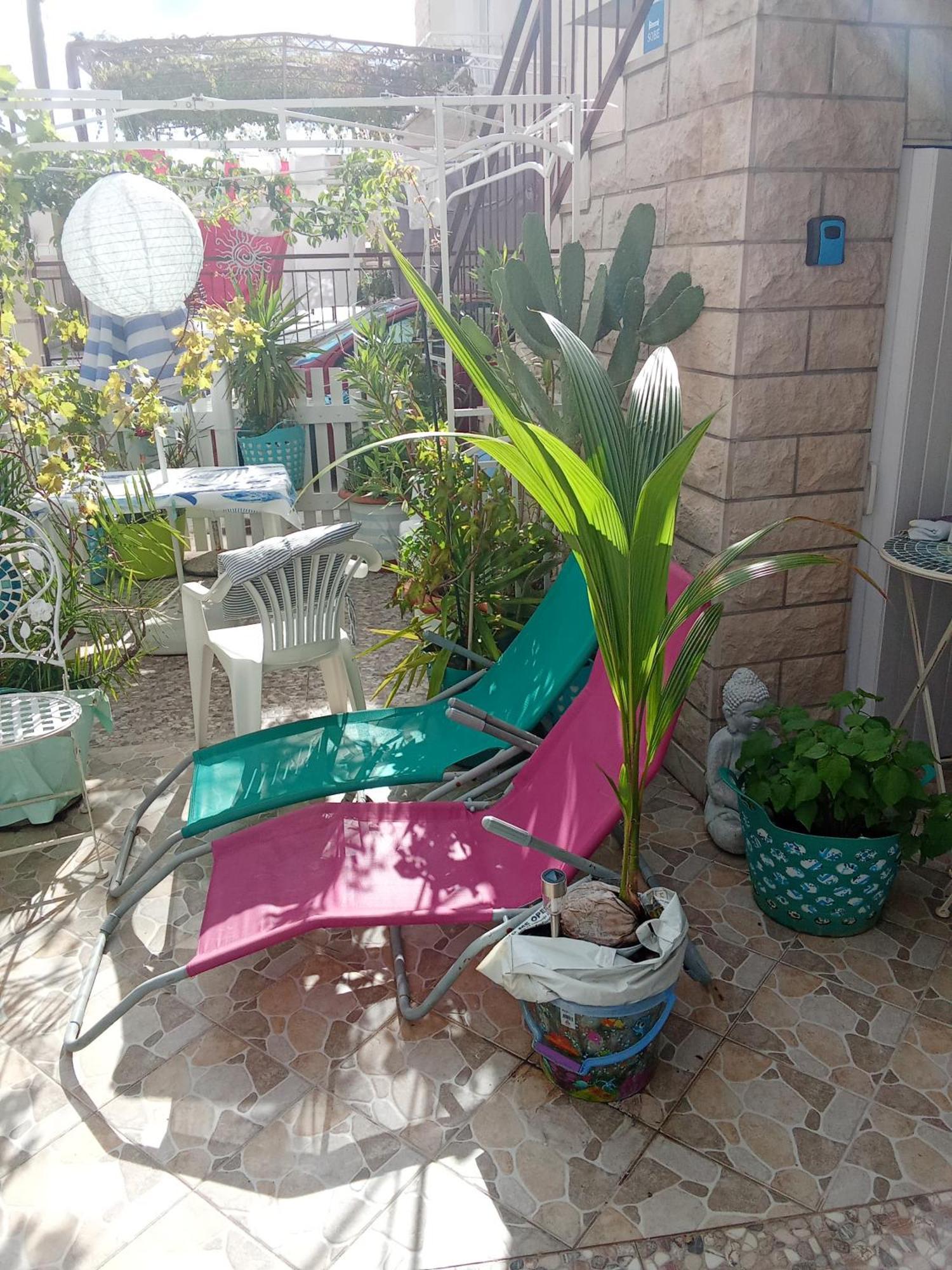 Makarska Blue Oasis Apartman 2-6 Extérieur photo